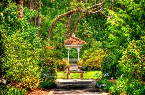 Discover the Delights of an Orchid Garden at an Orlando Homestead